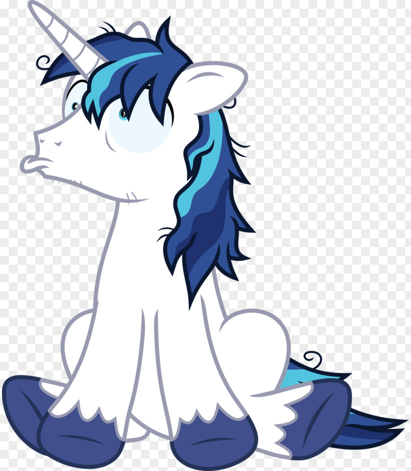 My Little Pony Twilight Sparkle Princess Cadance Rainbow Dash Fan Art PNG