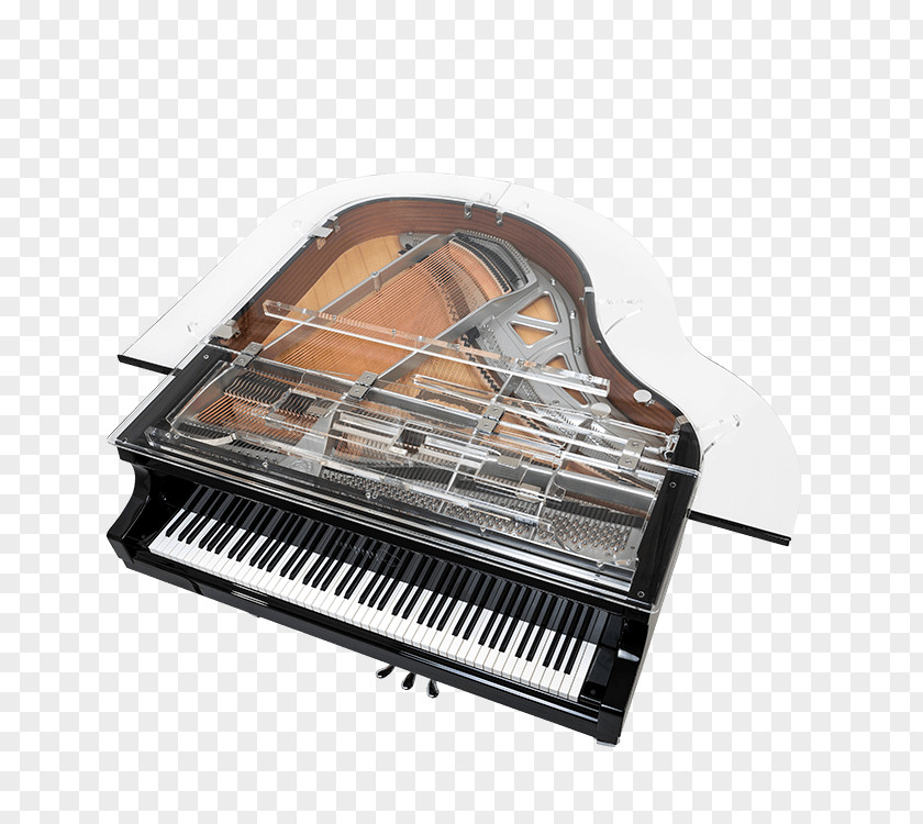 Piano Digital Electric Player Grand PNG