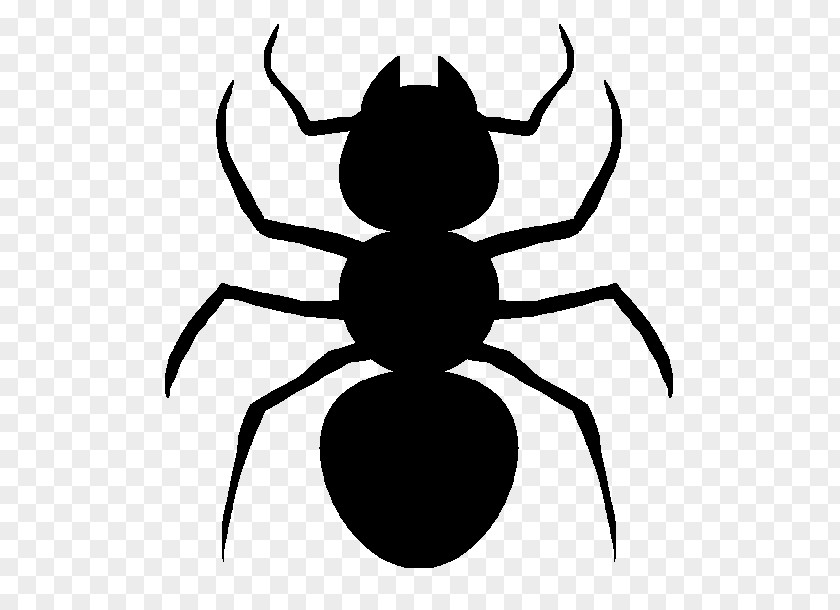 Bug T-shirt Top Ant Insect Man PNG
