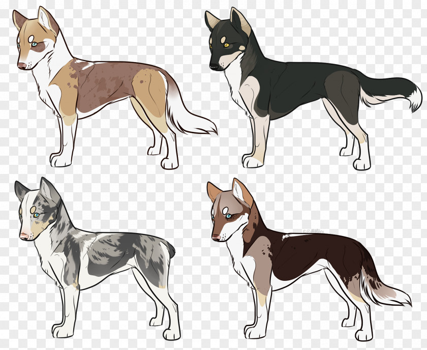 Customs Dog Breed Norwegian Lundehund Norway Drawing /m/02csf PNG