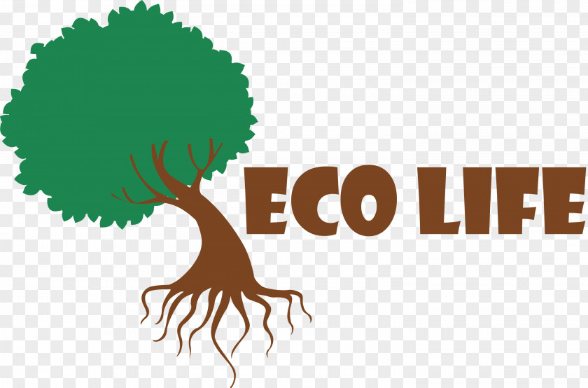 Eco Life Tree PNG