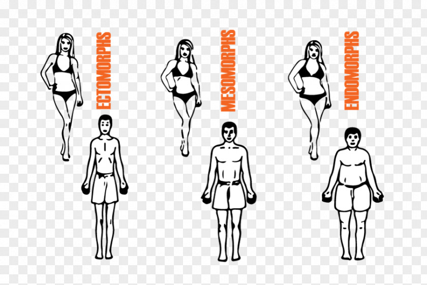 Health Female Body Shape Nutrition Human Exercise PNG