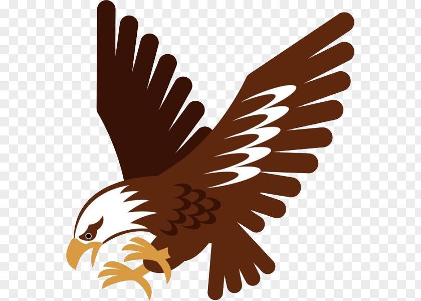 Hunting Eagle Royalty-free Stock Photography Hawk Illustration PNG