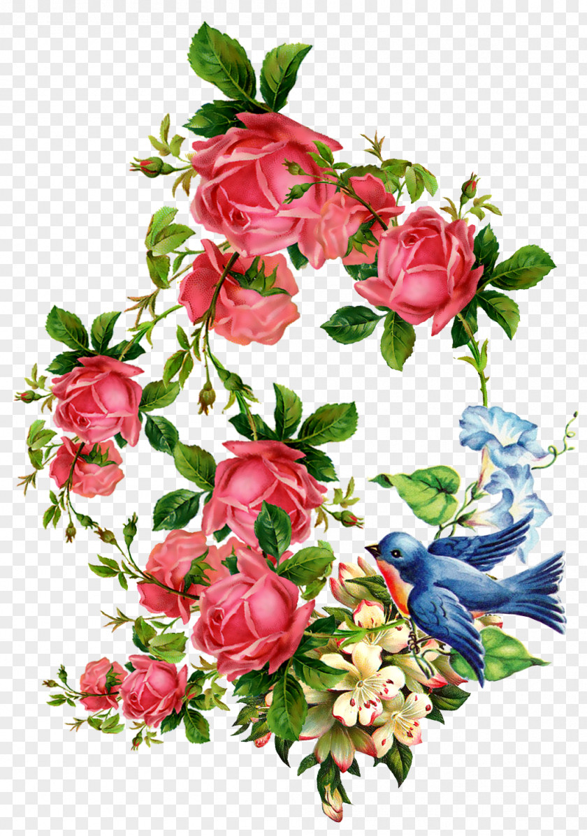 Rose Flower Vintage Clothing Bokmxe4rke Clip Art PNG