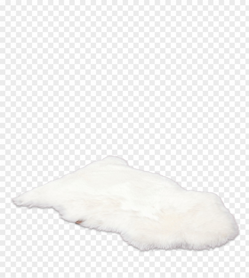 Rug Fur Shoe PNG