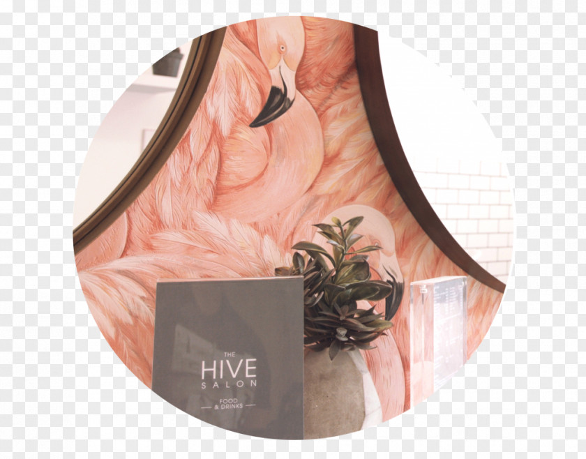 The Hive Salon Beauty Parlour Hair Fisk Building PNG