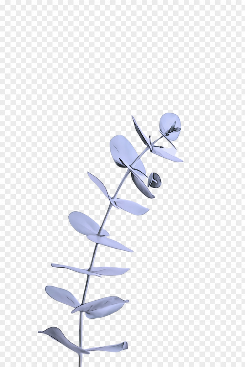 Flower Twig Blue Branch Leaf Plant PNG