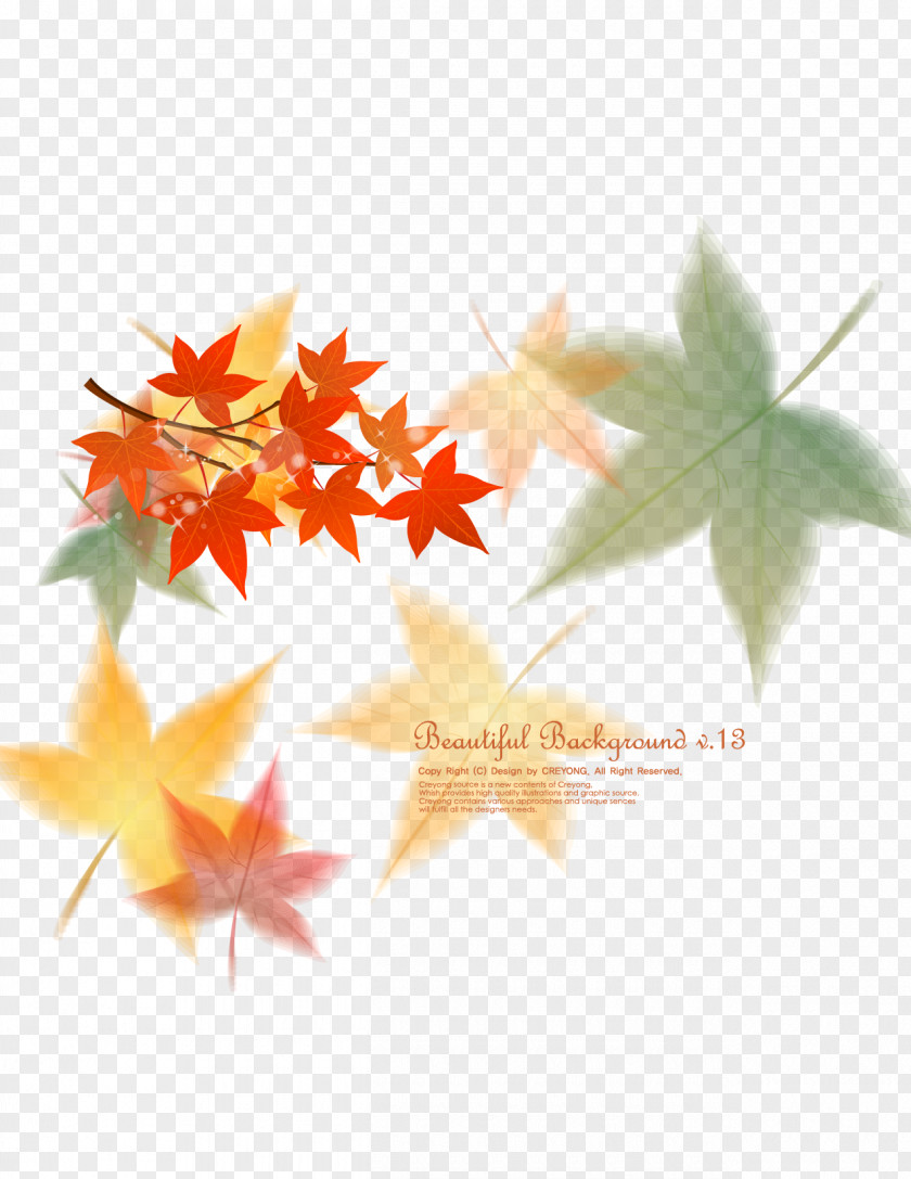 Hand-painted Maple Leaf Euclidean Vector PNG