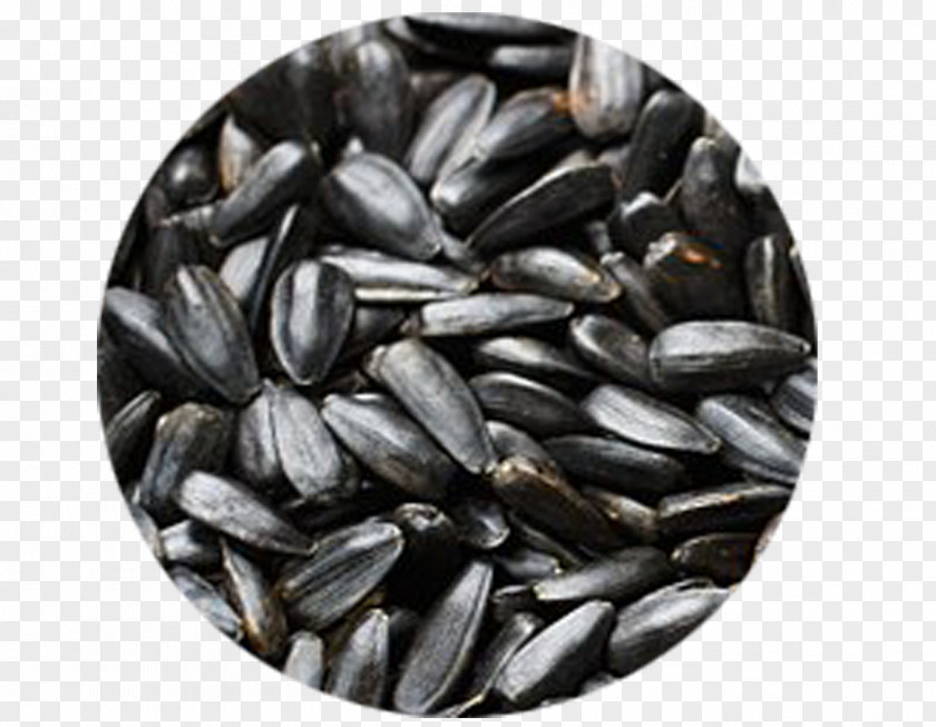 Health Nut Vegetarian Cuisine Sunflower Seed Common PNG