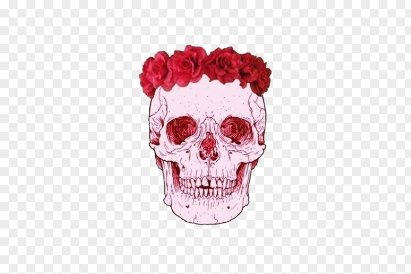 Skull Sticker Decal Human Symbolism Adhesive PNG