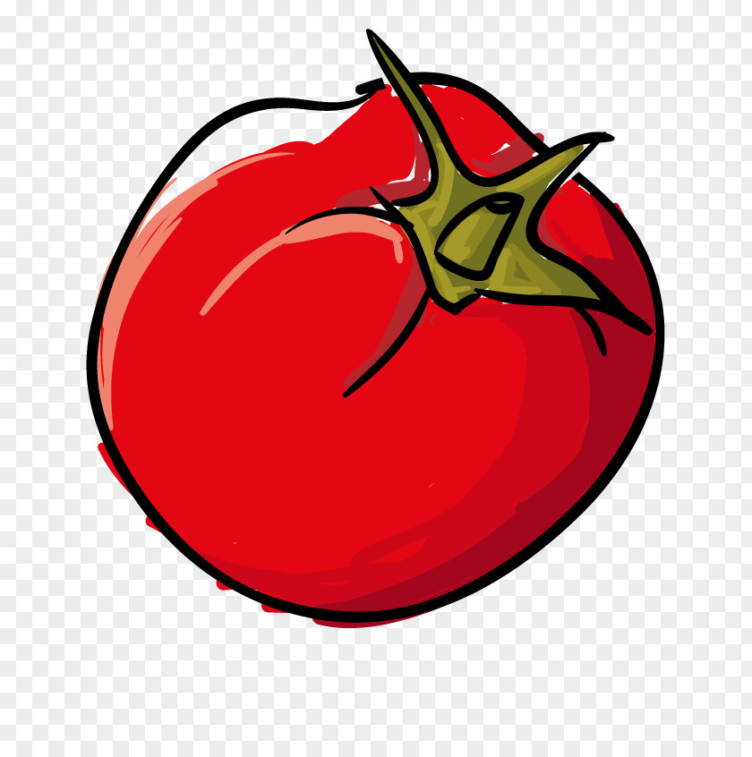 Cartoon Tomato Melemenci Atom' Un Yeri Menemen Clip Art Fruit PNG