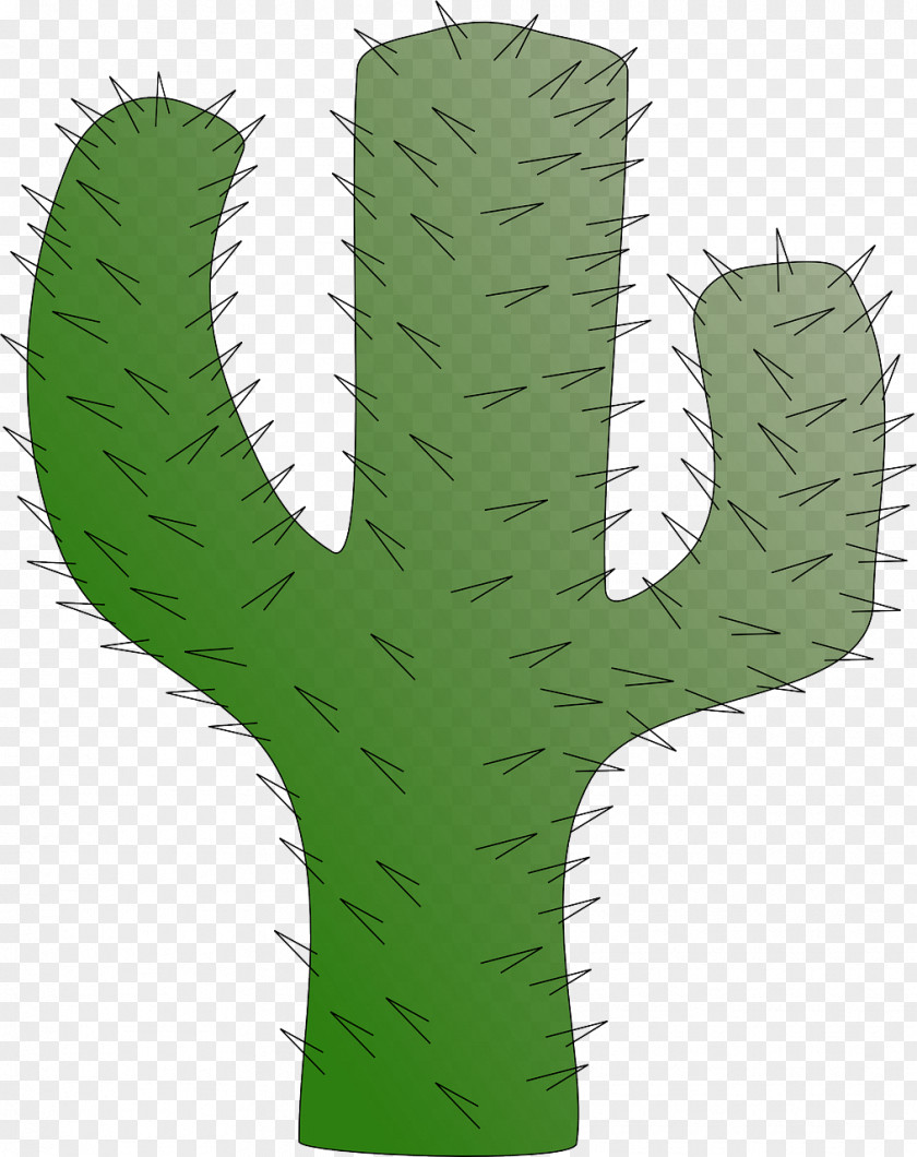 Little Green Desert Cactaceae Clip Art PNG