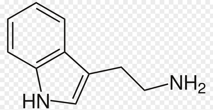 N,N-Dimethyltryptamine Indole 4-HO-DET Dipropyltryptamine PNG