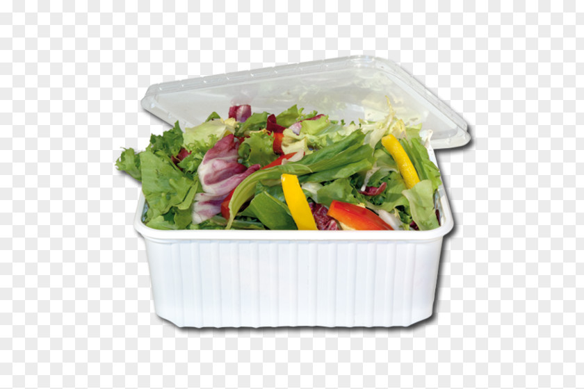 Salad Leaf Vegetable Vegetarian Cuisine Recipe Plastic PNG