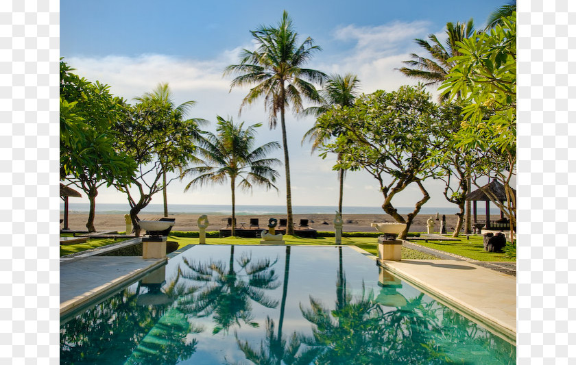 Ylang Sanur, Bali Villa Cozy Swimming Pool Cananga Odorata PNG