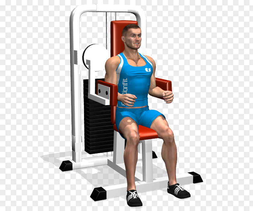Exercise Machine Shoulder Deltoid Muscle Weightlifting Weight Training PNG