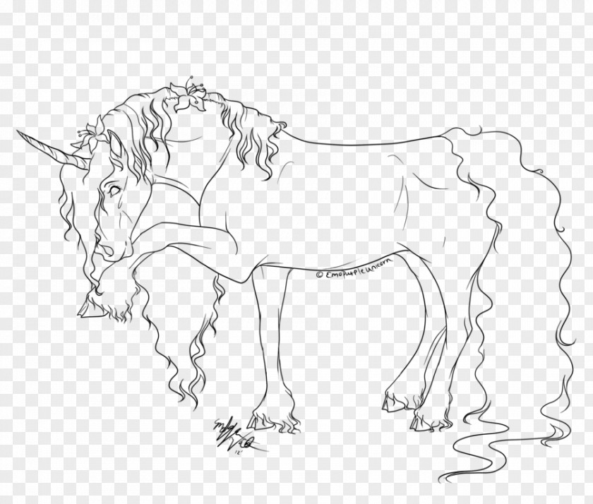 Horse Line Art Mane Pony Drawing PNG
