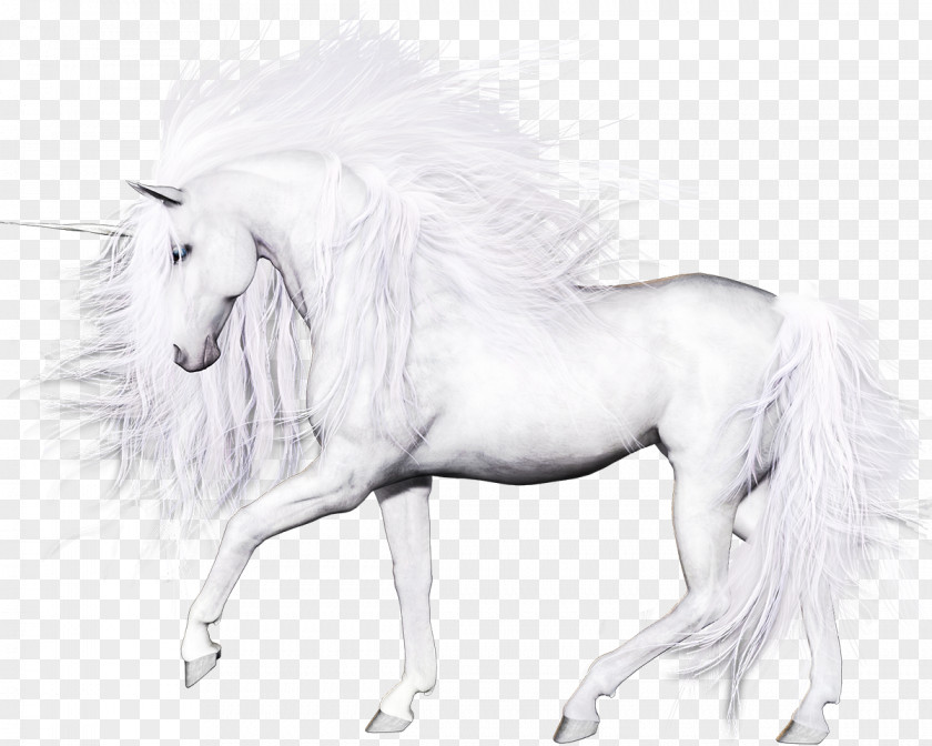 Horse Unicorn Clip Art PNG