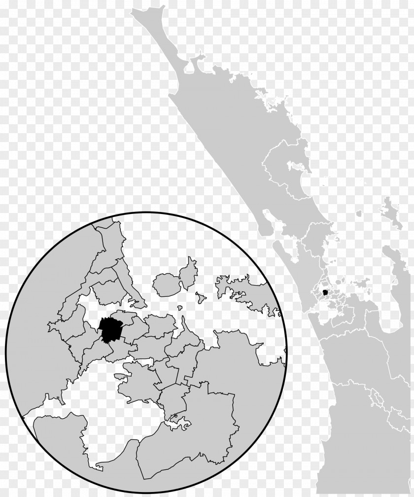 Mount Albert, New Zealand Roskill Albert By-election, 2017 PNG