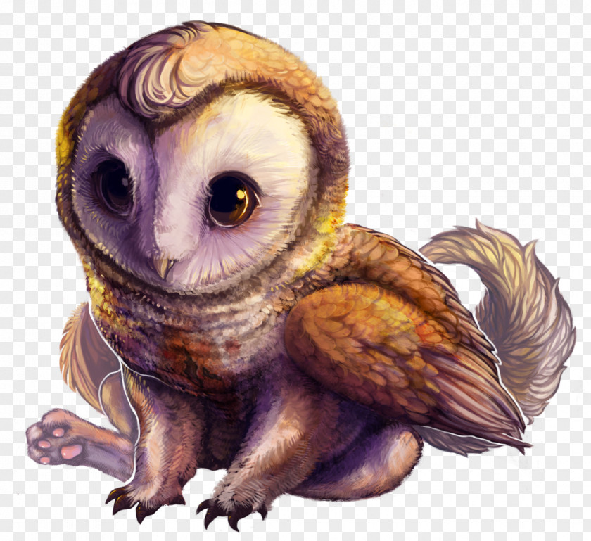 Owl Fauna Illustration Beak PNG