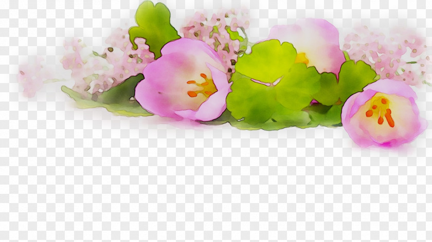 Pink Flowers Tulip Floral Design Petal PNG