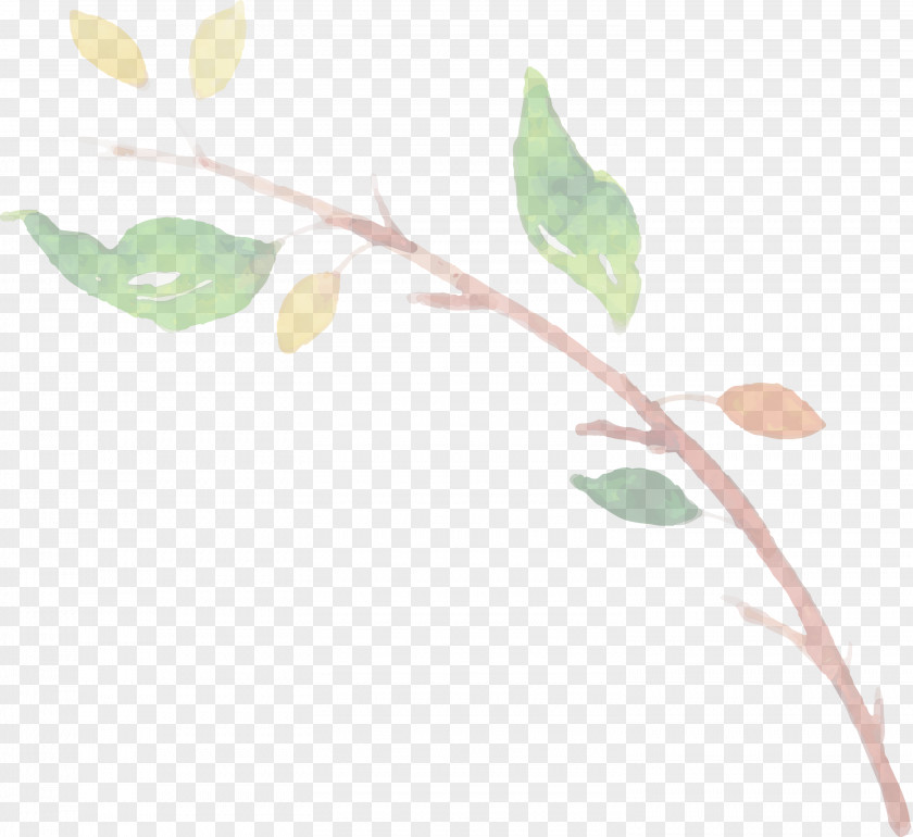 Plant Stem Leaf Twig Plants Biology PNG