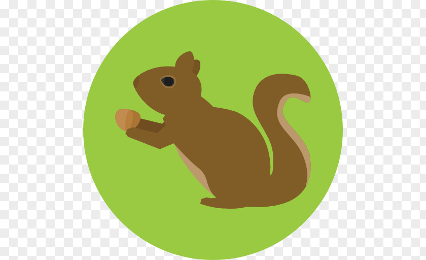 Squirrel Rodent PNG