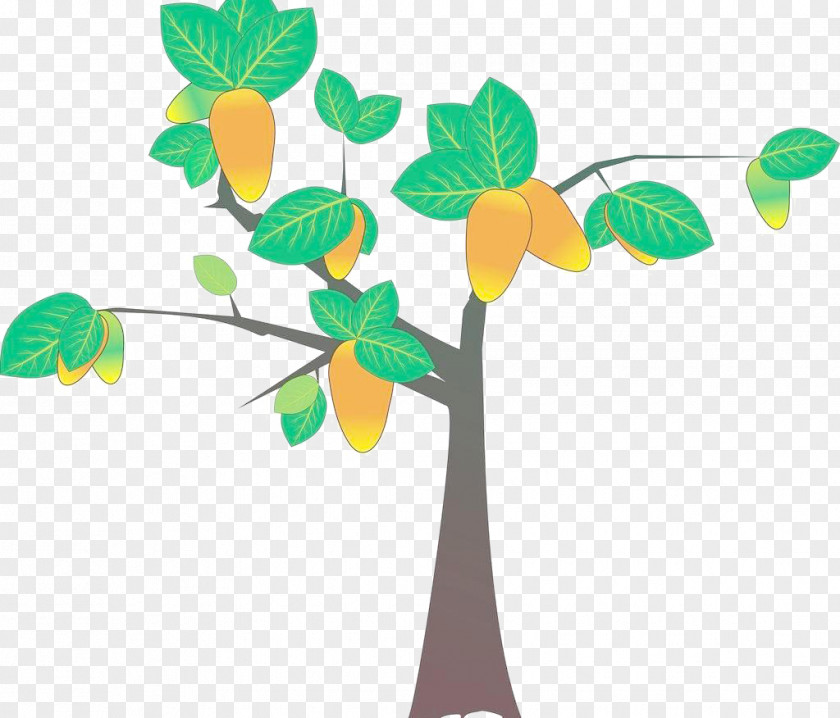 A Mango Tree PNG