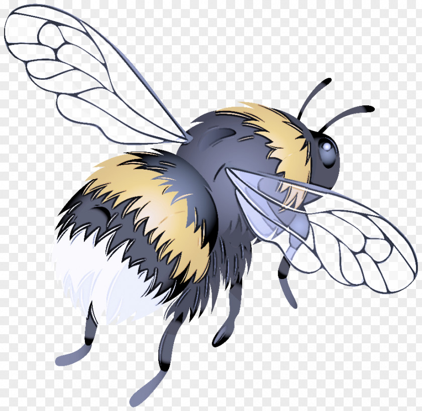 Bees Honey Bee Insects Worker Honeycomb PNG