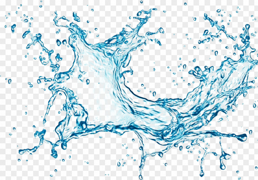 Drawing Line Art Water Tree Liquid PNG