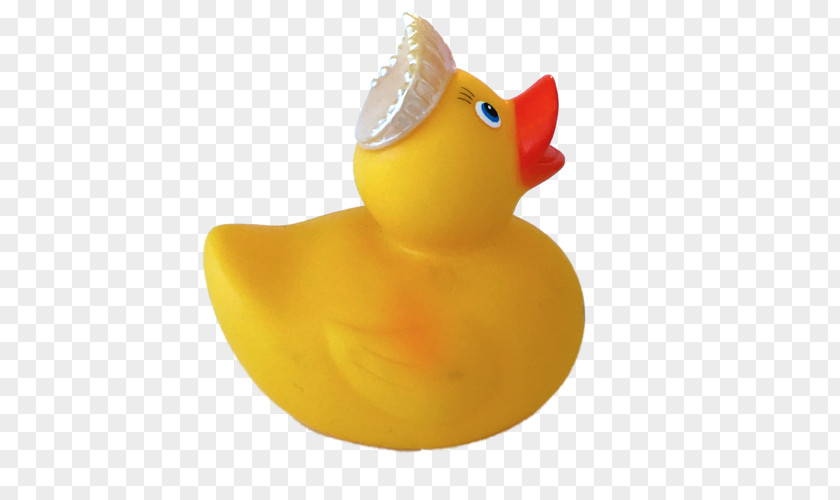 Duck Rubber Yellow Natural Toy PNG