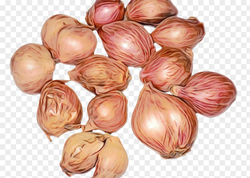 Flowering Plant Yellow Onion Shallot Vegetable Food PNG