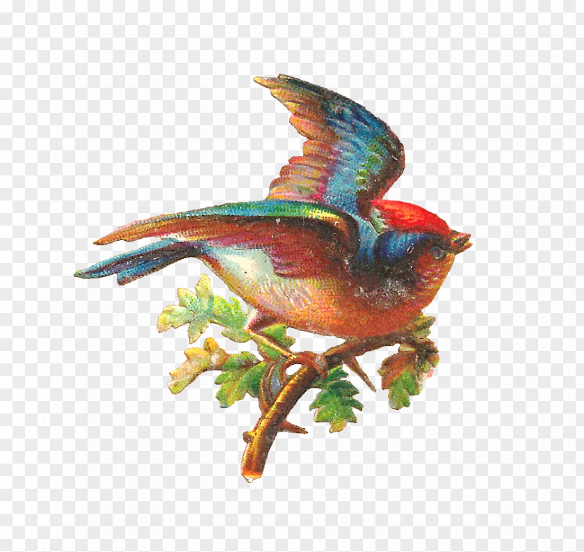 Free Digital Graphics Bird Oak Clip Art PNG