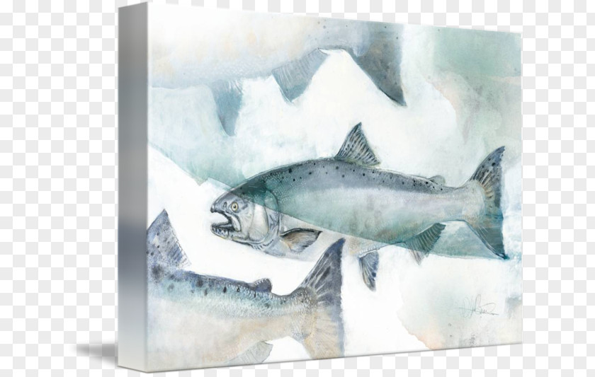 Shark Watercolor Painting Gallery Wrap Canvas PNG