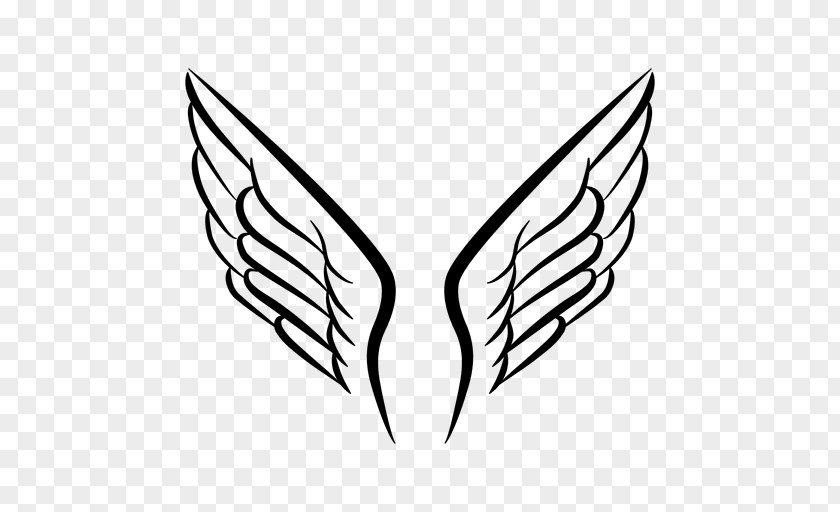 Wing Vector Line Art Drawing Clip PNG