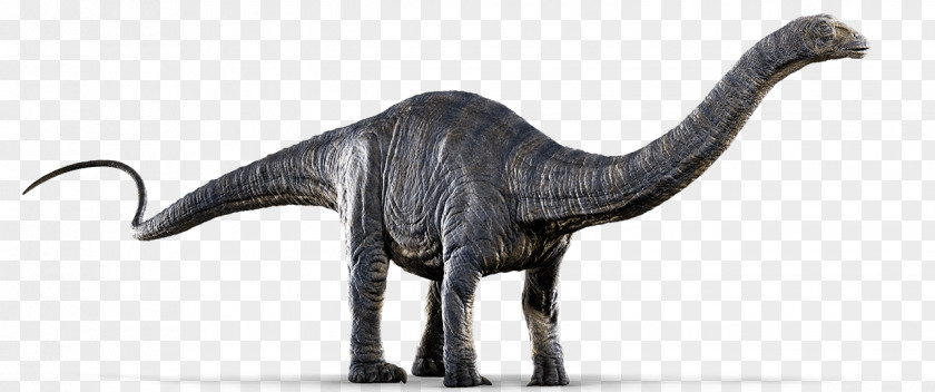Jurassic World Dr. Henry Wu Apatosaurus Brachiosaurus Mosasaurus Diplodocus PNG