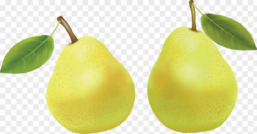 Pear Image Fruit Amygdaloideae Clip Art PNG