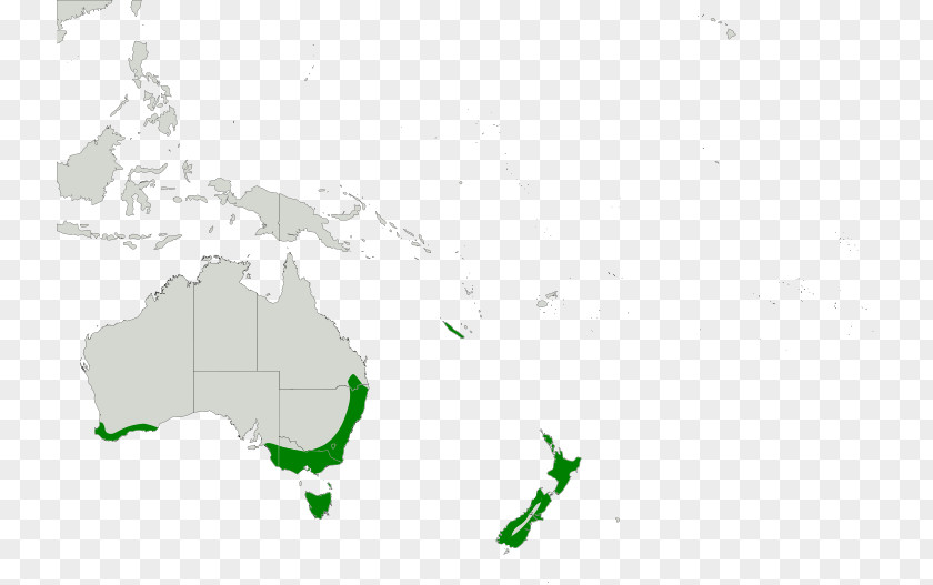 TAURUS Australia World Map PNG