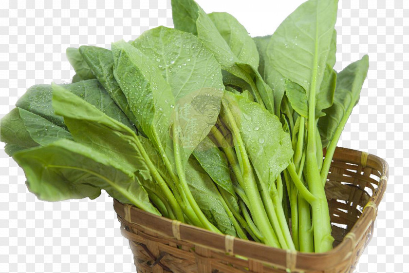 The Basket Of Kale Chinese Broccoli Spring Greens Vegetable Spinach PNG