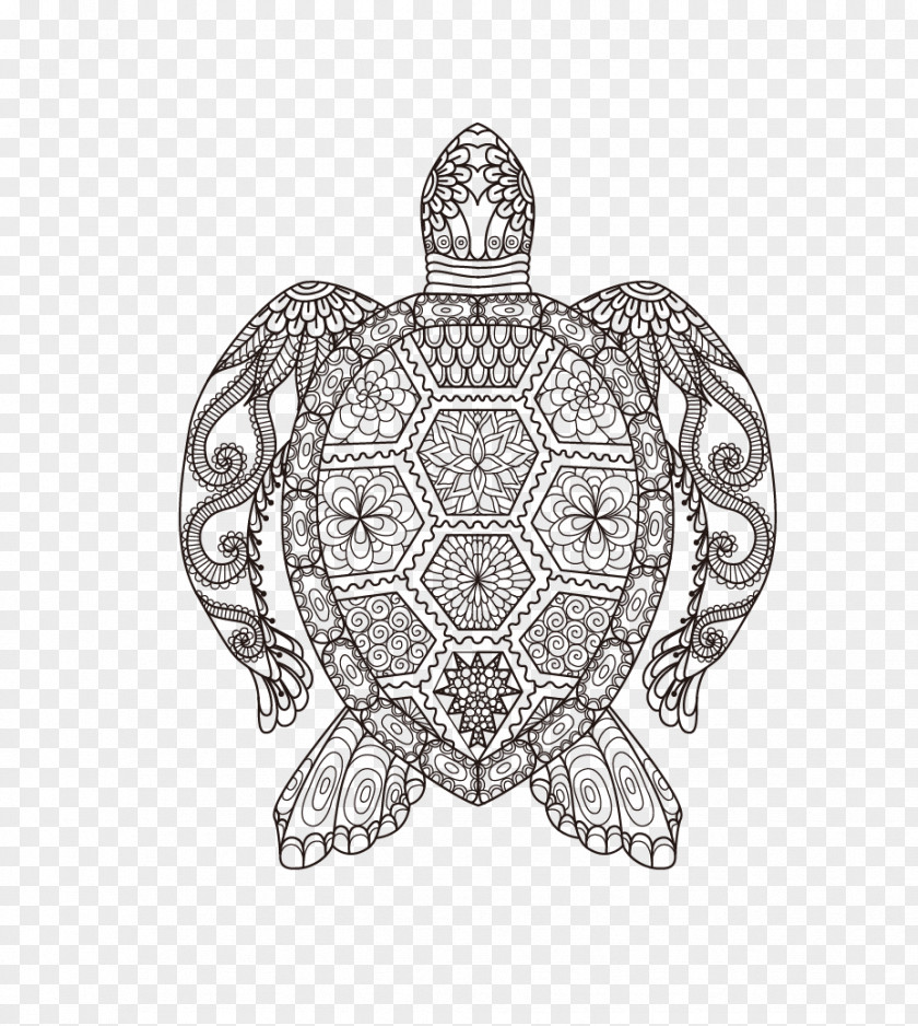 Vector Turtle Coloring Book Adult Doodle Drawing Child PNG