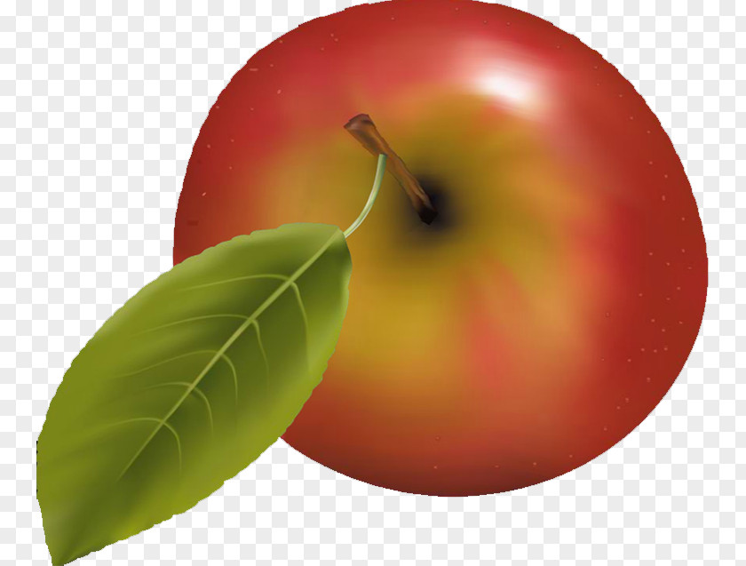 Apple Accessory Fruit Clip Art PNG