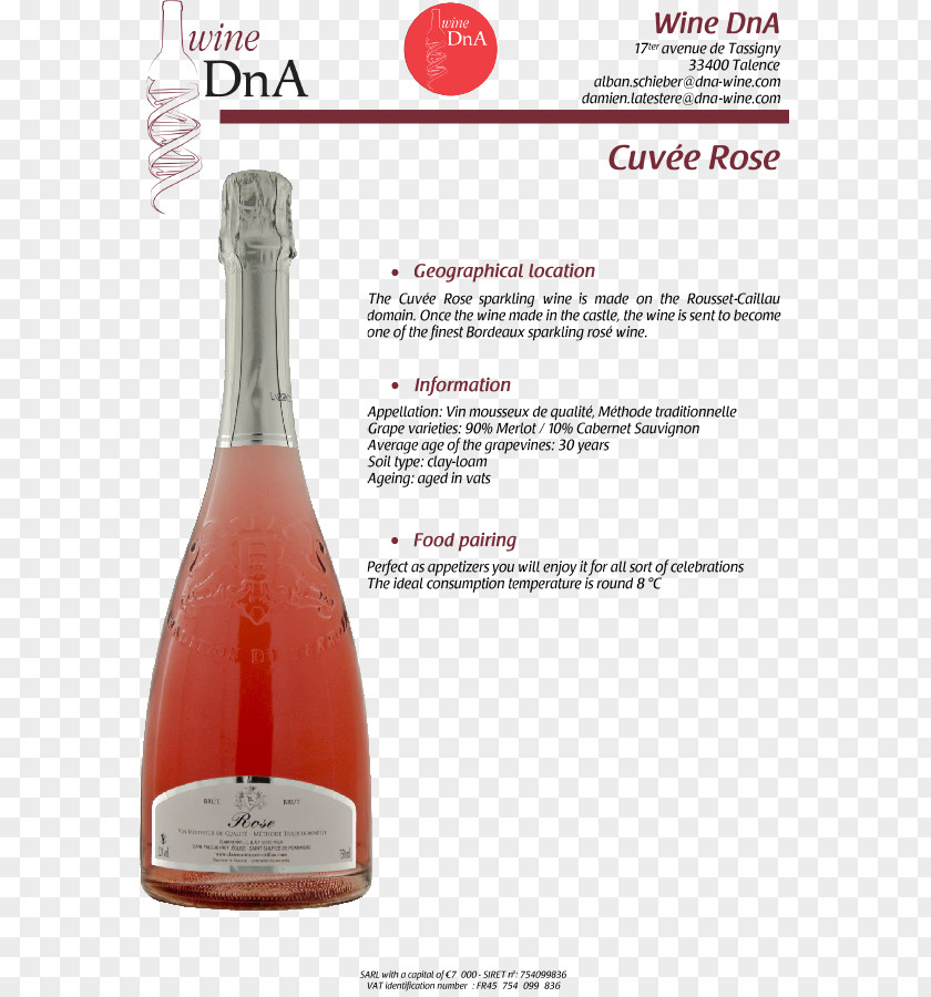 Champagne Bordeaux Wine Rosé Inseec Business School PNG