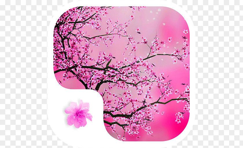 Cherry Blossom Desktop Wallpaper Red Jigsaw Puzzle PNG