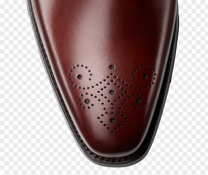 Design Shoe PNG