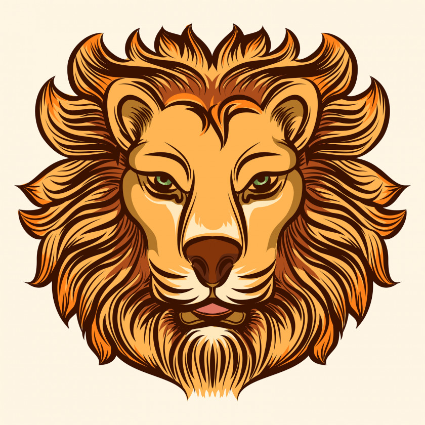Lions Head Lion Fashion Drawing PNG