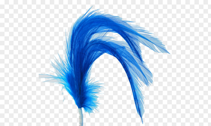 Peacock Feathers Feather Microsoft Azure PNG