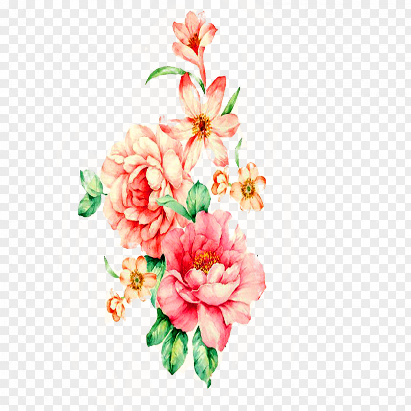 Peony Painting Floral Design Watercolor Flower PNG