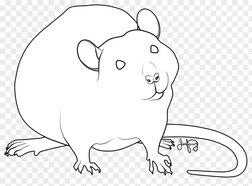 Rat Whiskers Drawing Line Art Clip PNG