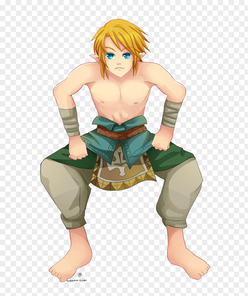 Sumo The Legend Of Zelda: Twilight Princess HD Spirit Tracks Zelda II: Adventure Link PNG