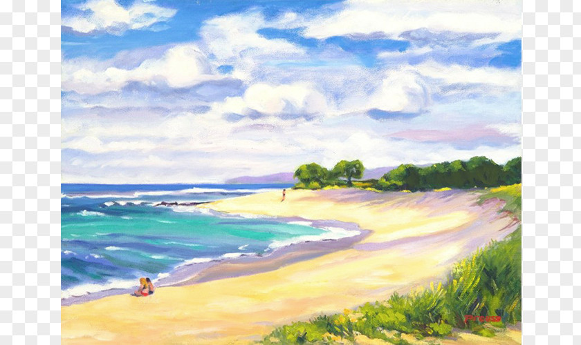 Beaches Hawaii Shore Coast Painting Ocean PNG